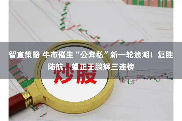 智宣策略 牛市催生“公奔私”新一轮浪潮！复胜陆航、望正王鹏辉三连榜