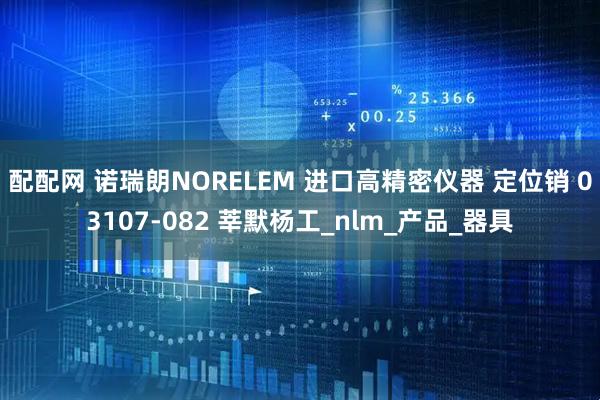 配配网 诺瑞朗NORELEM 进口高精密仪器 定位销 03107-082 莘默杨工_nlm_产品_器具